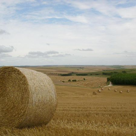Gite Rural Le Bois Roger Widehem 外观 照片