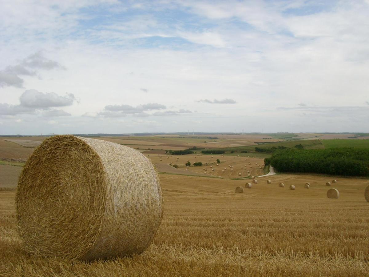 Gite Rural Le Bois Roger Widehem 外观 照片